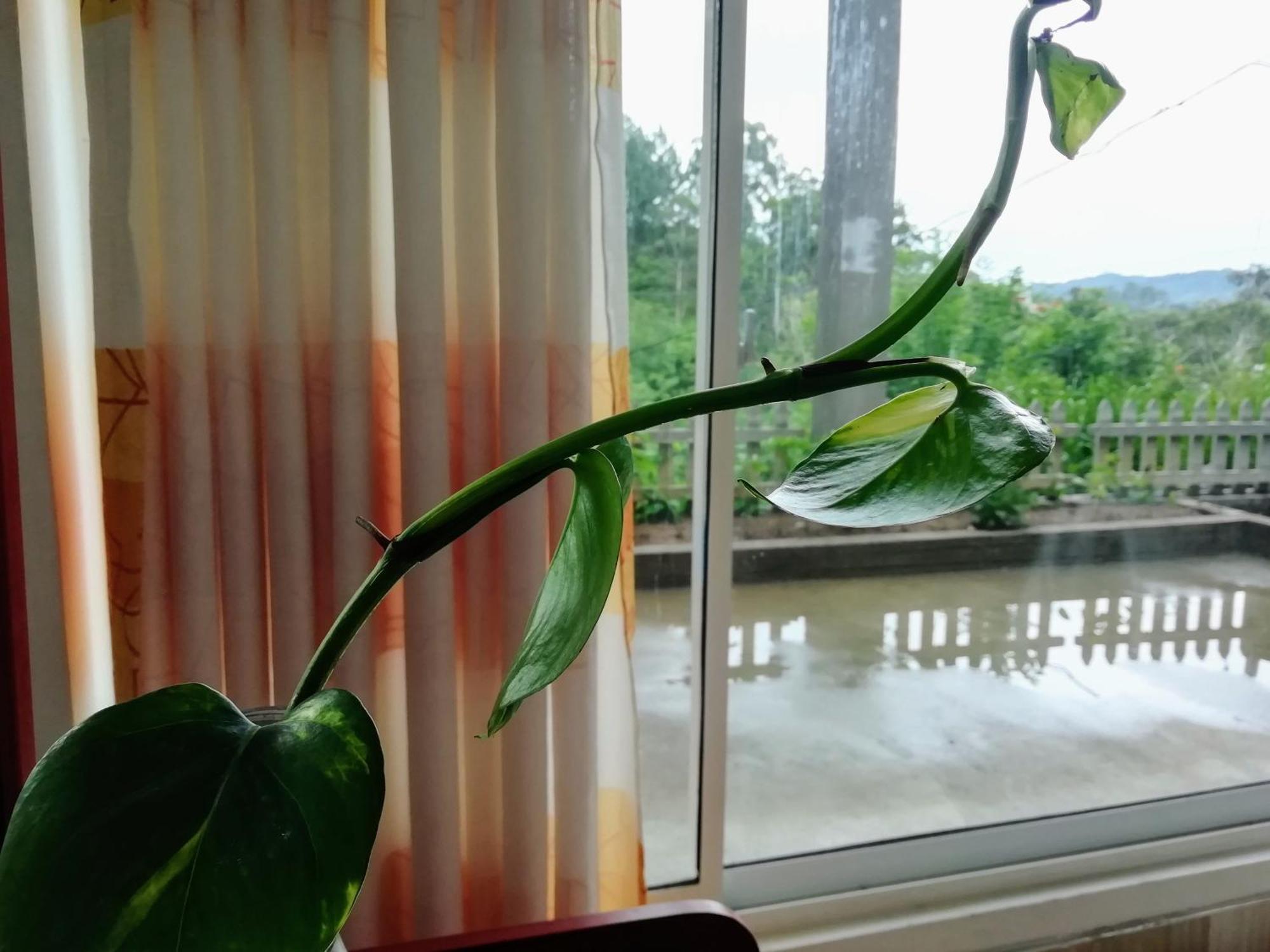 Ella C&D Paradise Hotel Екстериор снимка