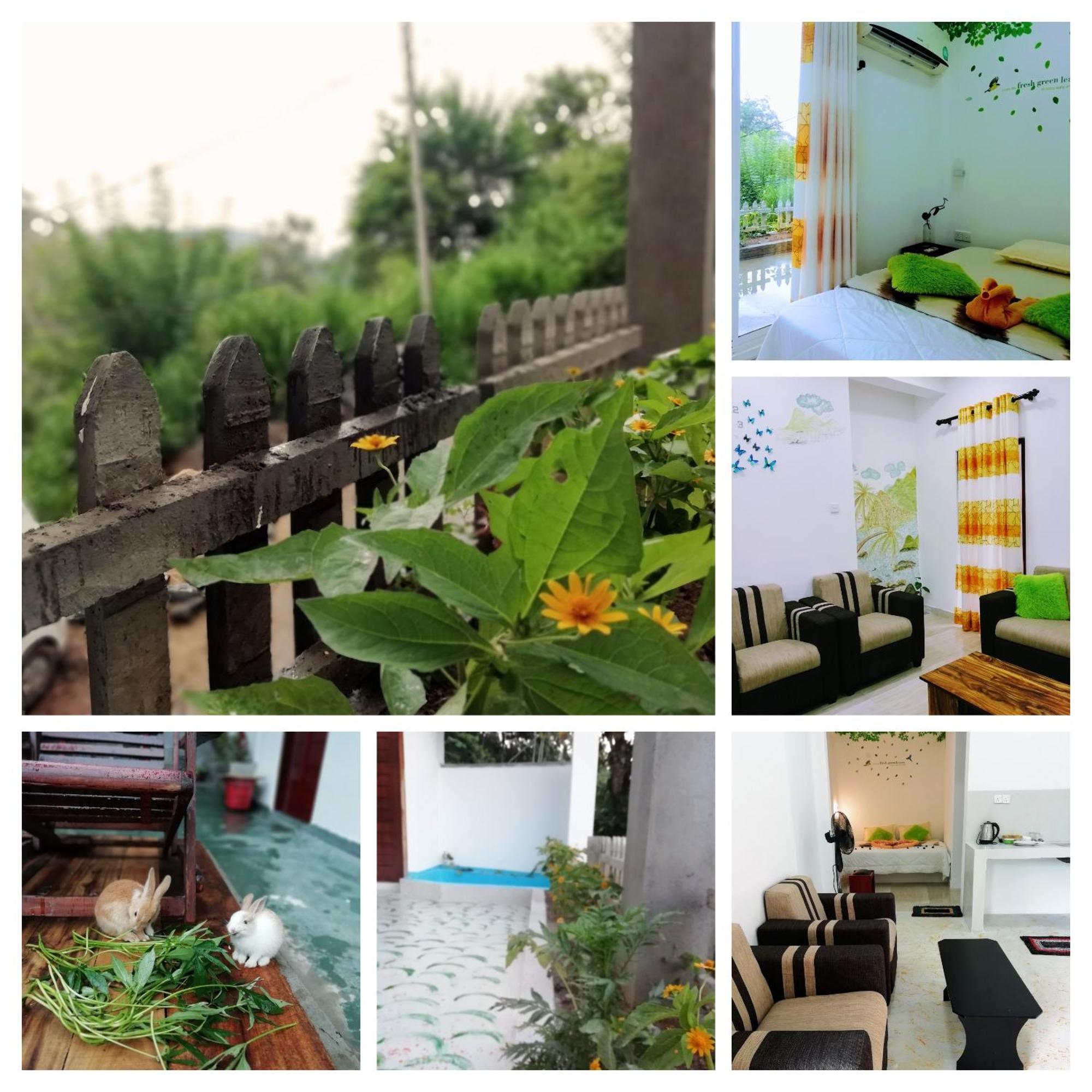 Ella C&D Paradise Hotel Стая снимка